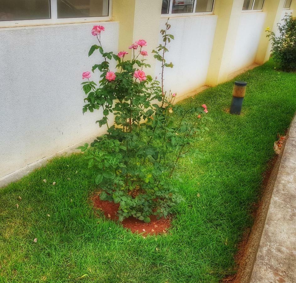 Falesia Apartment - Reis Magos Beach Canico  Ngoại thất bức ảnh
